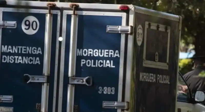 Ruiz de Montoya: trabajador rural falleció aplastado por un eucalipto 2 md 1 - 1