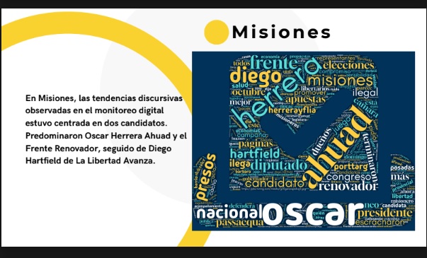 misiones redes elecciones - 4