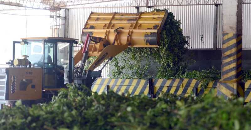 El Gobierno misionero busca establecer un precio referencial para sostener la actividad yerbatera.
