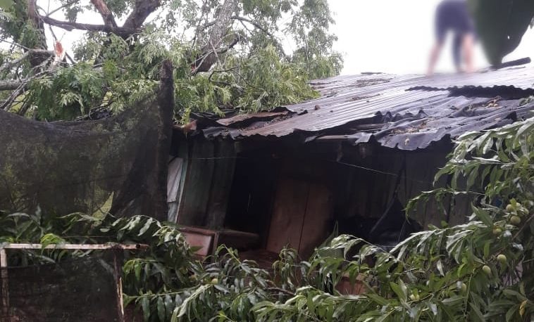 Temporal provocó destrozos y dejó sin luz ni agua a 25 de Mayo y otras localidades del centro misionero 1 temporal
