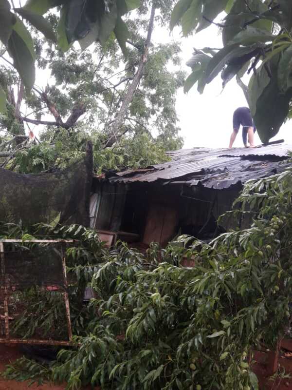 Temporal en Misiones: 10 familias asistidas en Posadas y voladuras de techo afectaron otra decena de hogares 4 temporal misiones