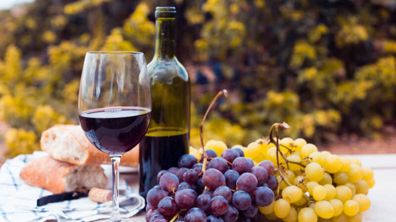 Hoy se celebra el Día Nacional del Vino: origen histórico y rol clave en la vitivinicultura argentina El Día del Vino Argentino celebra una historia de casi cinco siglos que une viñedos, bodegas, gastronomía y economías regionales en todo el país.