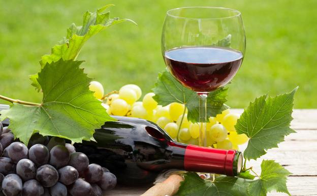 Hoy se celebra el Día Nacional del Vino: origen histórico y rol clave en la vitivinicultura argentina 2 Entre los surcos de los viñedos y las copas en la mesa familiar, el vino argentino cuenta la historia de miles de familias que viven de la vitivinicultura.