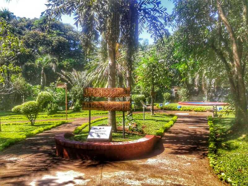 Paseo guiado por el Jardín Botánico este domingo desde las 17 horas 471290245 562363603435150 7856882355743133490 n - 1
