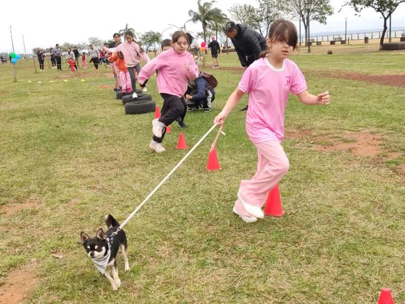 Verano 2026: juegos y natación gratuitos para infancias en el Club Vial 2 Club Vial: lanzan propuestas recreativas para infancias en el verano 2026