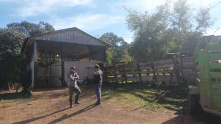 El Soberbio sin matadero: 100 animales por semana se faenan en sitios clandestinos 557483343 24599238676392847 1353602100245169080 n - 2