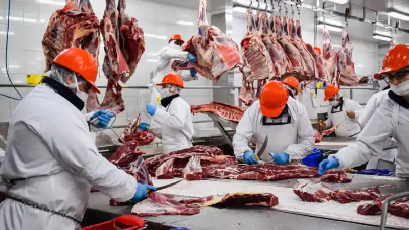 China impone cupos y aranceles del 55%: la carne argentina pierde terreno China