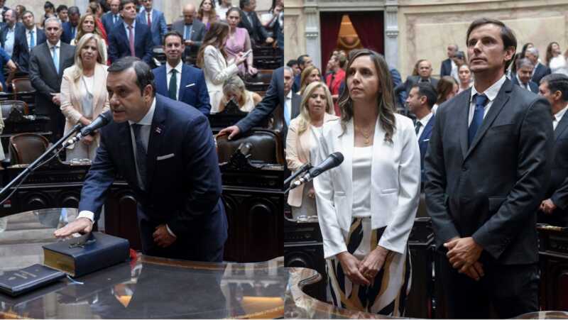 diputados misiones congreso
