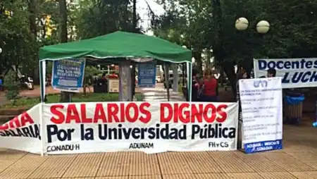 Docentes