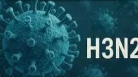 Alarma en la frontera: Bolivia activa protocolos por casos sospechosos de nueva variante de gripe 5 G8NKSVQWsAEcO2d - 4