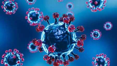 Alarma en la frontera: Bolivia activa protocolos por casos sospechosos de nueva variante de gripe G8TgVC9XMAEhmVR - 2