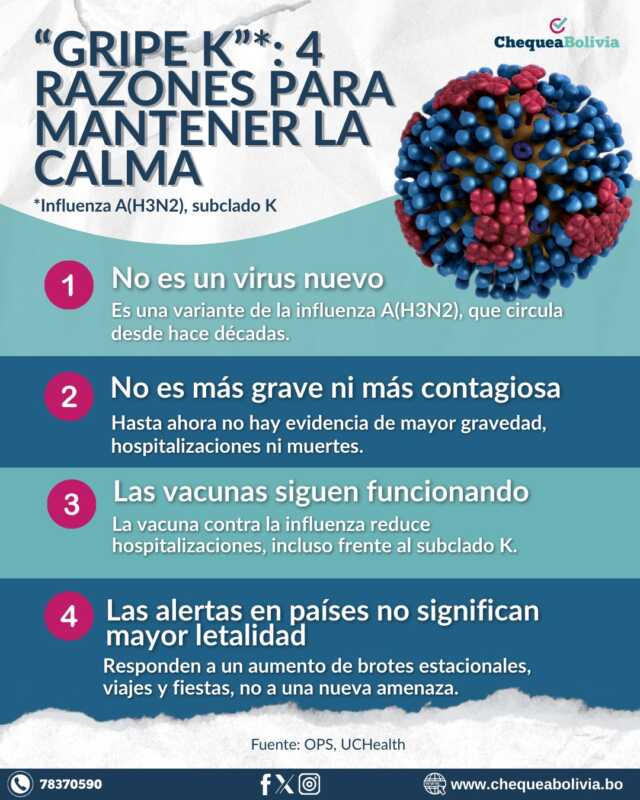 Alarma en la frontera: Bolivia activa protocolos por casos sospechosos de nueva variante de gripe 7 G8Tic4GWMAo4CQ8 - 6