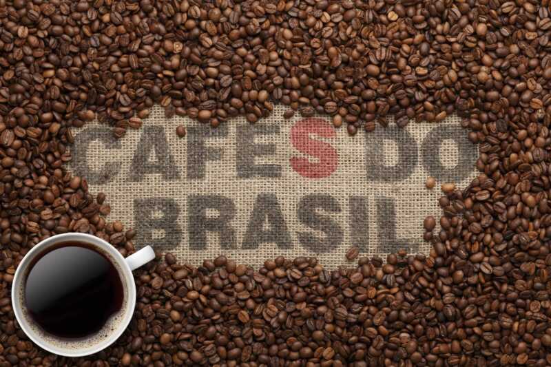Café brasileño: desplome de exportaciones a EE.UU. por medidas arancelarias