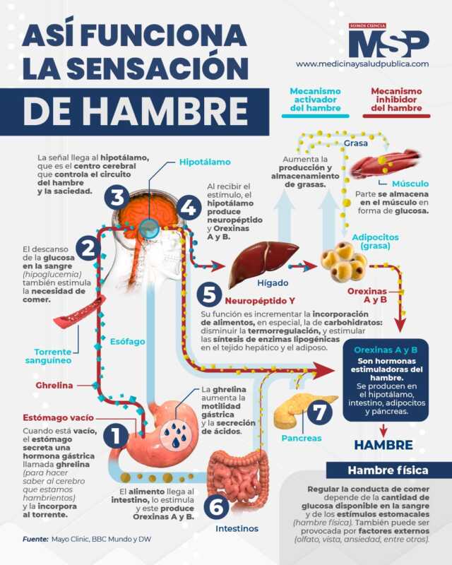 Crece el hambre emocional: cuando el estrés se mete en el plato 8 Ga9zlPBWsAAKrU0 - 7