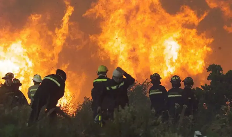 Ante el riesgo extremo de incendios, el Gobierno de Misiones refuerza la prevención y pide responsabilidad ciudadana para proteger la selva misionera.