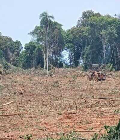 Extranjerización de tierras: Productores advierten que flexibilizar la compra agravaría la concentración en Misiones 2 A más de una década de la ley de expropiación, las familias de Puerto Piray sostienen que la recuperación de tierras sigue inconclusa y mantienen sus reclamos ante el Estado y la empresa Arauco.