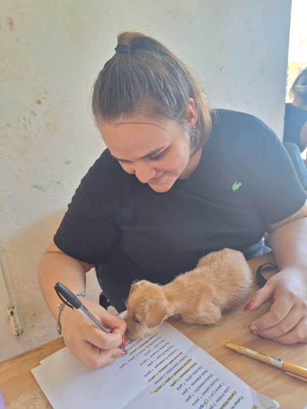 “De casas de tránsito a jornadas de castración: Patitas Felices transforma la vida de los animales en Oberá.”