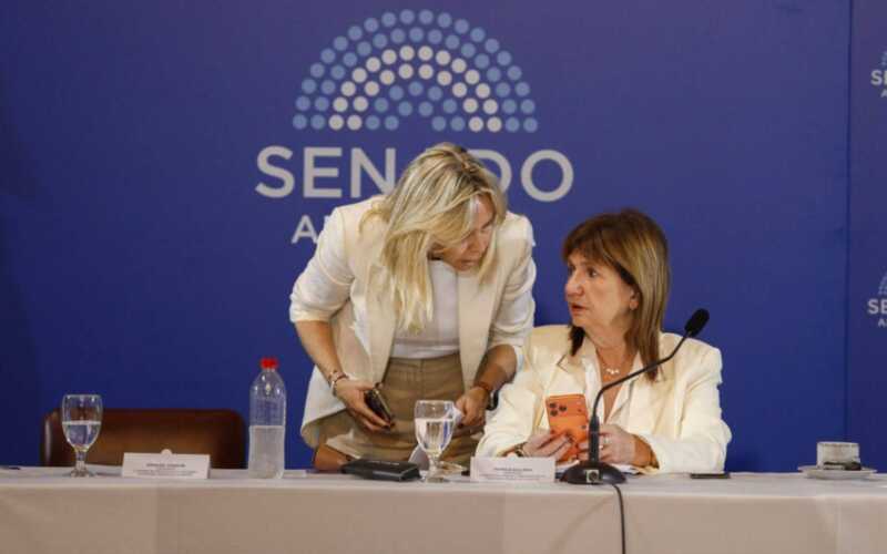 Presupuesto 2026: las claves del proyecto de Milei que el Senado busca aprobar este viernes 4 El ajuste, el superávit y el costo social: el Presupuesto que el Senado se apresta a convertir en ley.