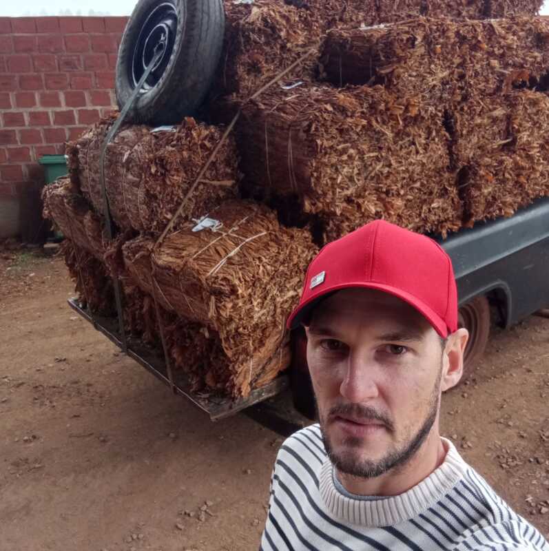 Tabacaleros de Misiones exigen el precio pactado y denuncian abandono de los gremios 1 Tabacaleros