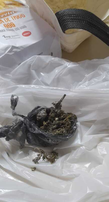 Posadas: quiso ingresar marihuana de contrabando para un preso y terminó demorado 5 WhatsApp Image 2025 12 01 at 12.34.02 2 - 4