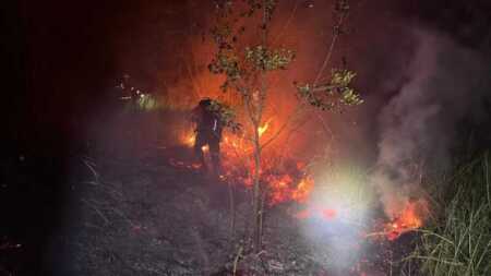 Bomberos controlaron dos incendios forestales en Panambí y Jardín América incendios forestales en Misiones