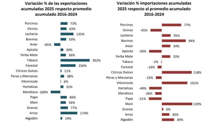 Economías Regionales: la actividad apícola pasó a verde en el semáforo y traccionó mejores resultados 7 WhatsApp Image 2025 12 10 at 12.05.01 2 - 6
