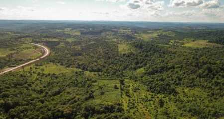 Ley de Bosques