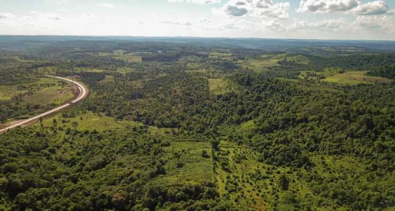 Ley de Bosques