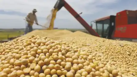 agro