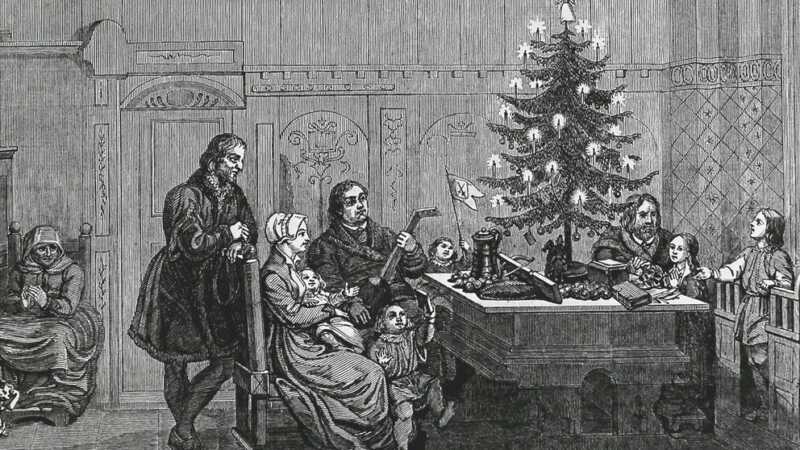 Árbol de Navidad: por qué se arma el 8 de diciembre y cómo nació la tradición 7 arbol navidad 2 - 6