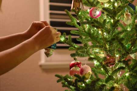 Árbol de Navidad: por qué se arma el 8 de diciembre y cómo nació la tradición árbol navidad