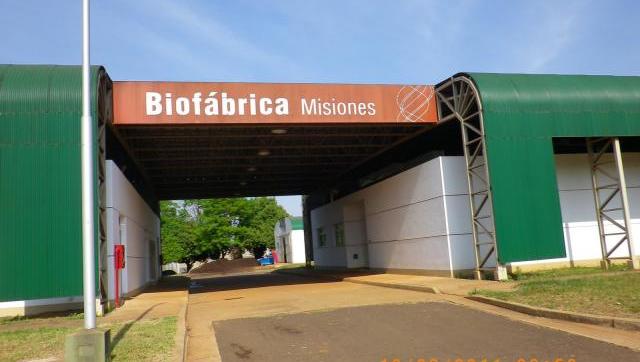 Miravet asumió en Biofábrica Misiones con un plan centrado en comercialización e internacionalización biofabrica misiones