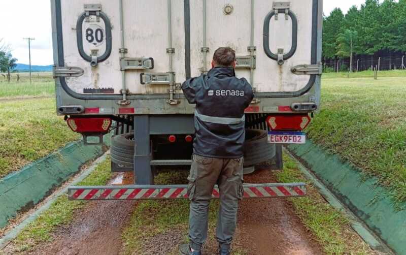 Misiones concretó la primera exportación de dorado y surubí al Brasil 2 misiones