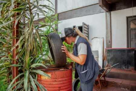 Prevención del dengue: conocé el cronograma de descacharrado y fumigación en Posadas dengue52 - 5