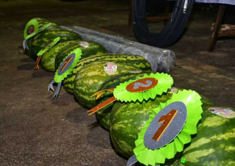Fiesta Sandía