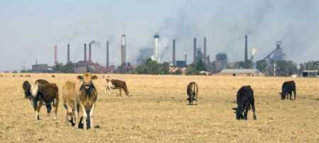 Ganaderos cuestionan el impuesto al metano y advierten que producir en Buenos Aires sería “cada vez más inviable” impuesto ganadería