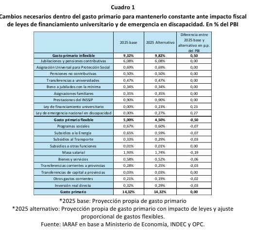 Ajuste del gasto: qué partidas deberían recortarse para financiar universidades y discapacidad 7 gasto primario cambios - 6