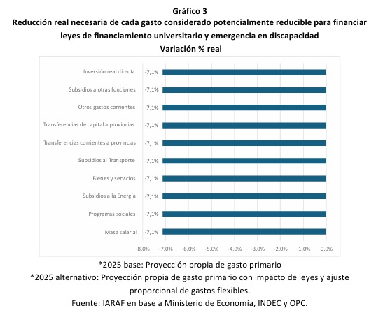 Ajuste del gasto: qué partidas deberían recortarse para financiar universidades y discapacidad 3 gasto reduccion real - 2