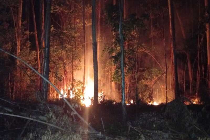 Incendios forestales: “No se recuerda un noviembre tan caluroso y tan ventoso”, alertó Manuel Jaramillo 5 incendio forestal - 4