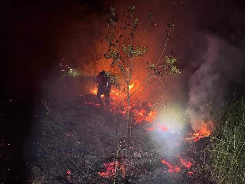 Incendios forestales: “No se recuerda un noviembre tan caluroso y tan ventoso”, alertó Manuel Jaramillo incendios