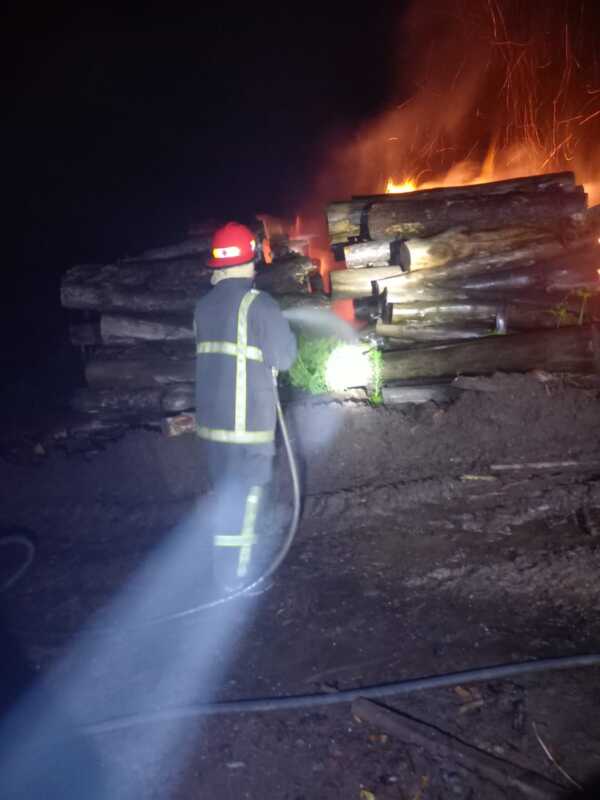 Mártires: controlaron un incendio de rollos de madera en un aserradero y evitaron daños mayores 4 El incendio afectó una importante estiba de rollos de madera de pino en un aserradero de la localidad de Mártires.