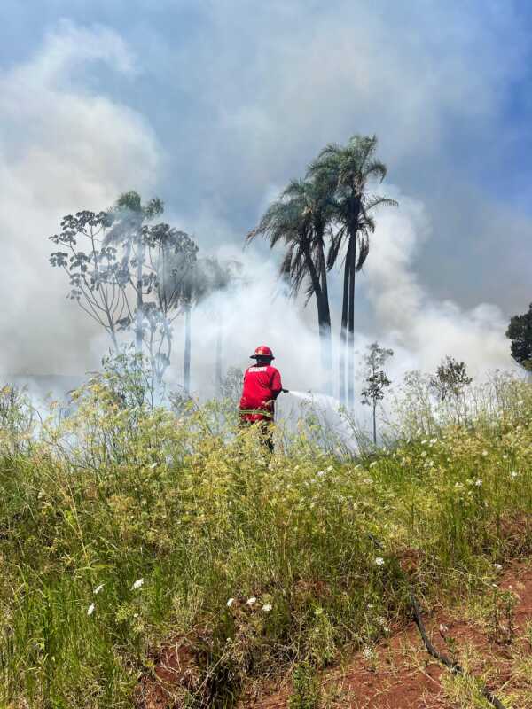 Incendios forestales: “No se recuerda un noviembre tan caluroso y tan ventoso”, alertó Manuel Jaramillo 3 incendios 4 - 2