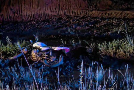 accidentes
