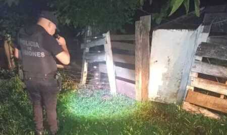 Irigoyen: mujer sufrió violento ataque de un perro mientras volvía ilegalmente de Brasil irigoyen e1767187924737 - 3