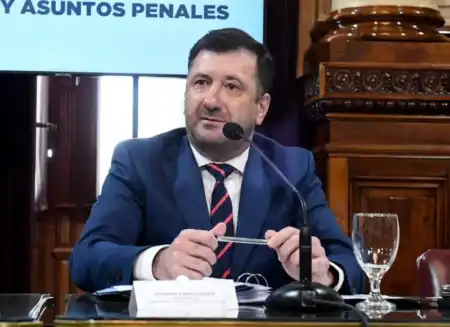 Edgardo Kueider fue detenido en diciembre de 2024 con más de 200 mil dólares sin declarar en la Triple Frontera.