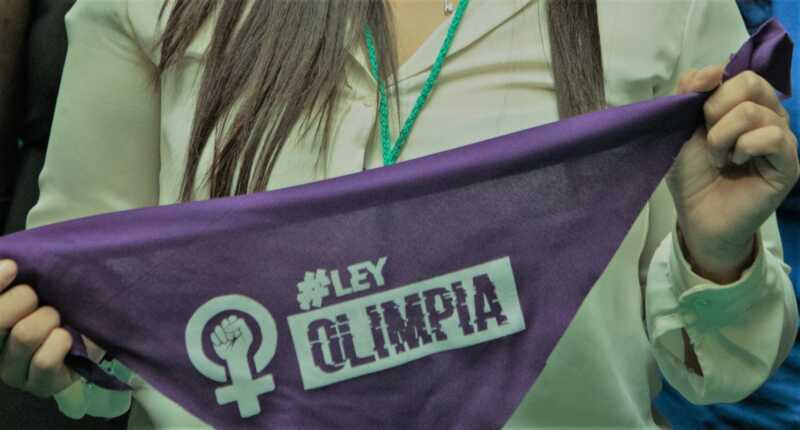 La Ley Olimpia, sancionada en 2023, se convirtió en una herramienta clave para proteger a las víctimas de violencia digital en la Argentina.