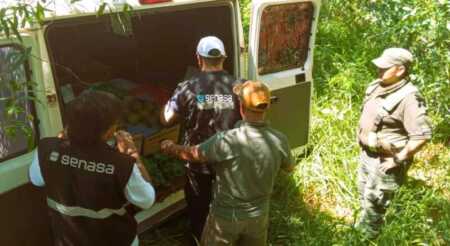 Misiones: detectaron una tonelada de frutas y hortalizas sin documentación sanitaria en Puerto Iguazú misiones senasa