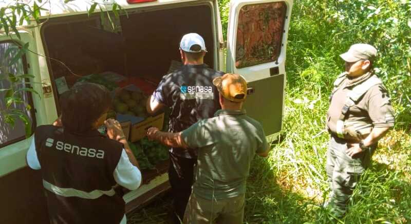misiones senasa