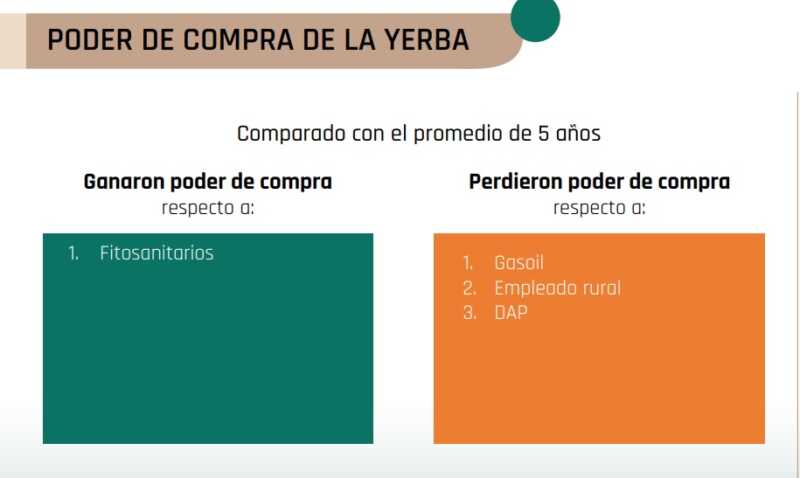 Monitor Insumo-Producto CONINAGRO: la yerba mejora frente a 2024 pero no alcanza para salir de la crisis 3 monitor yerba - 2
