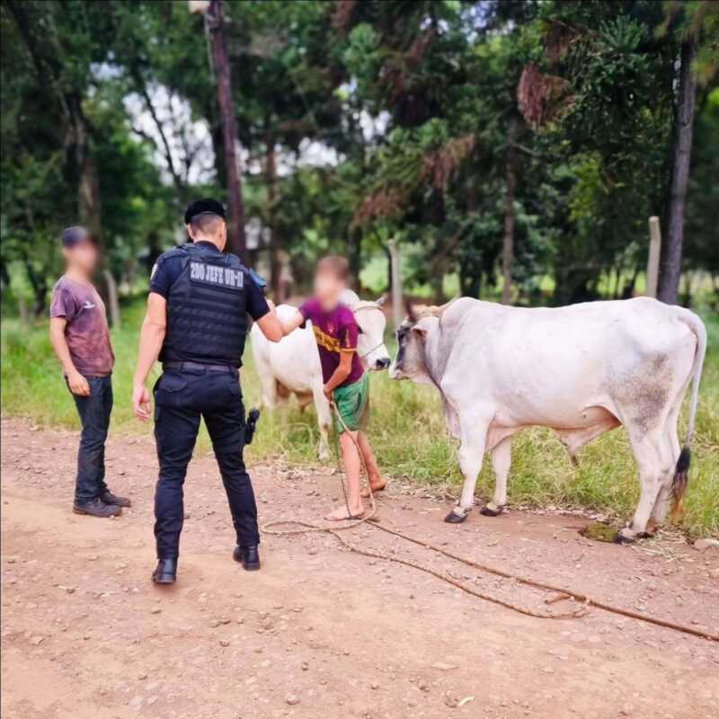 La Policía de Misiones despliega un amplio operativo de control para las fiestas 3 operativo fin de ano policia de misiones 14 - 2